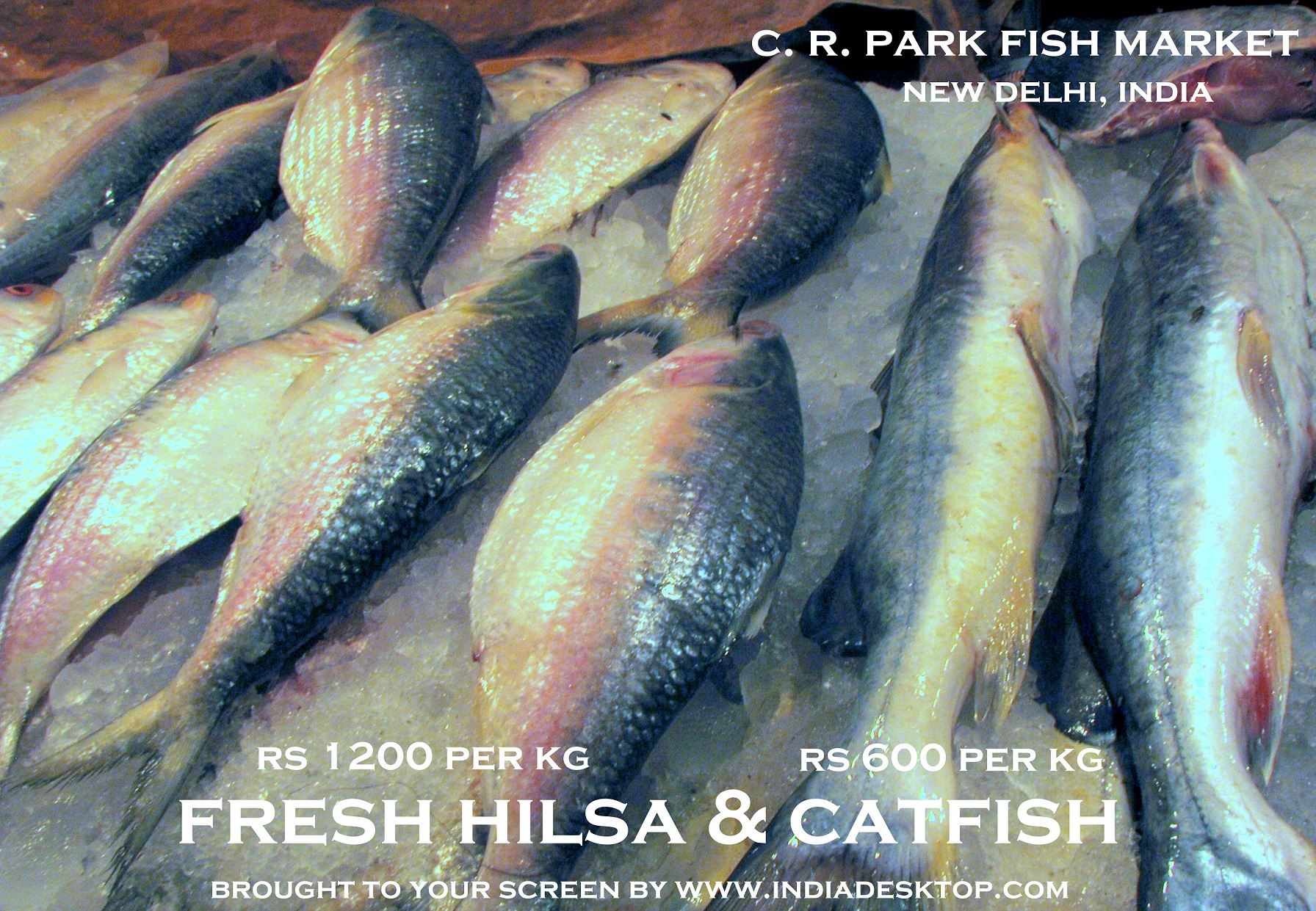 Fish Market C. R. Park